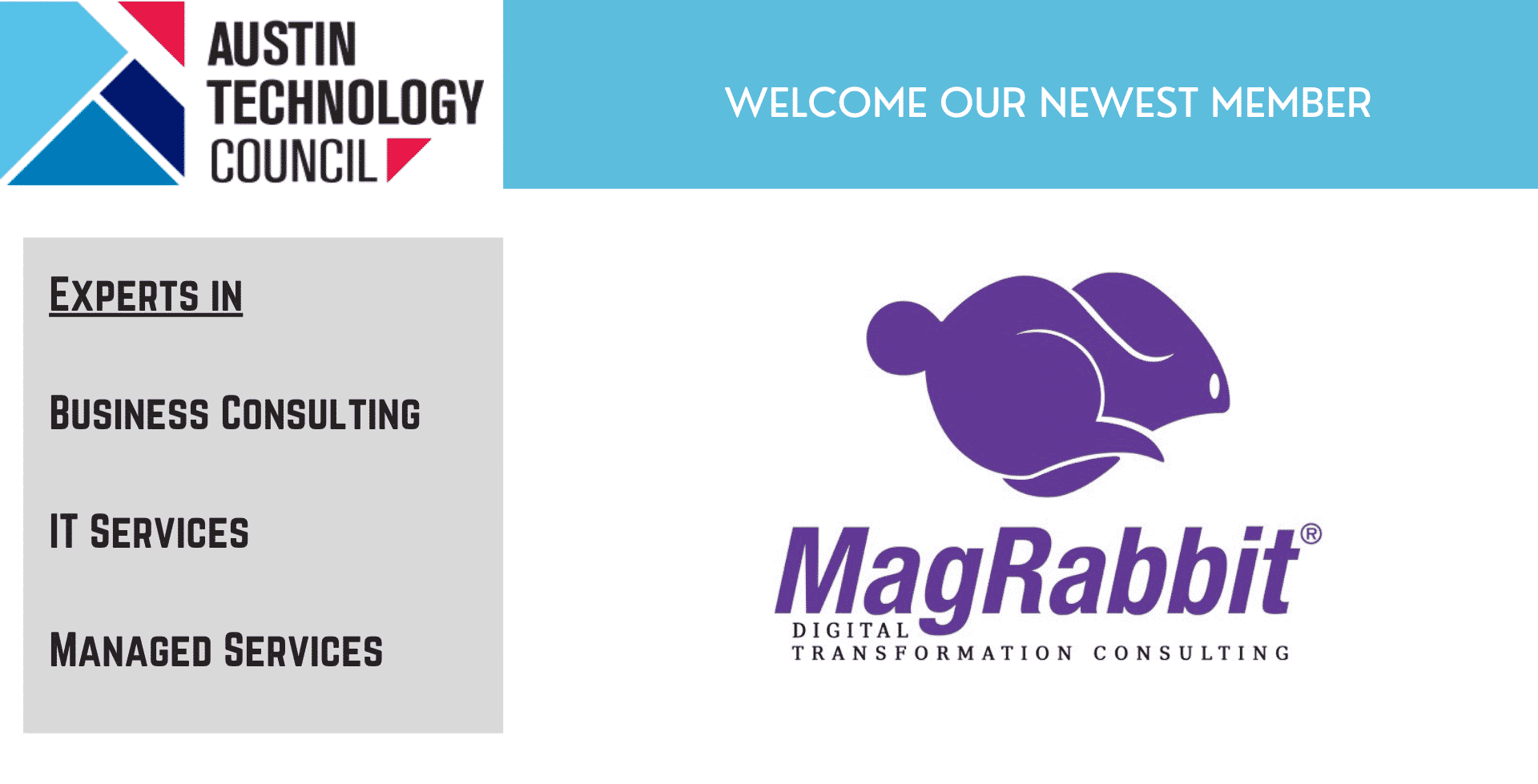 New Member Spotlight: MagRabbit, Inc.